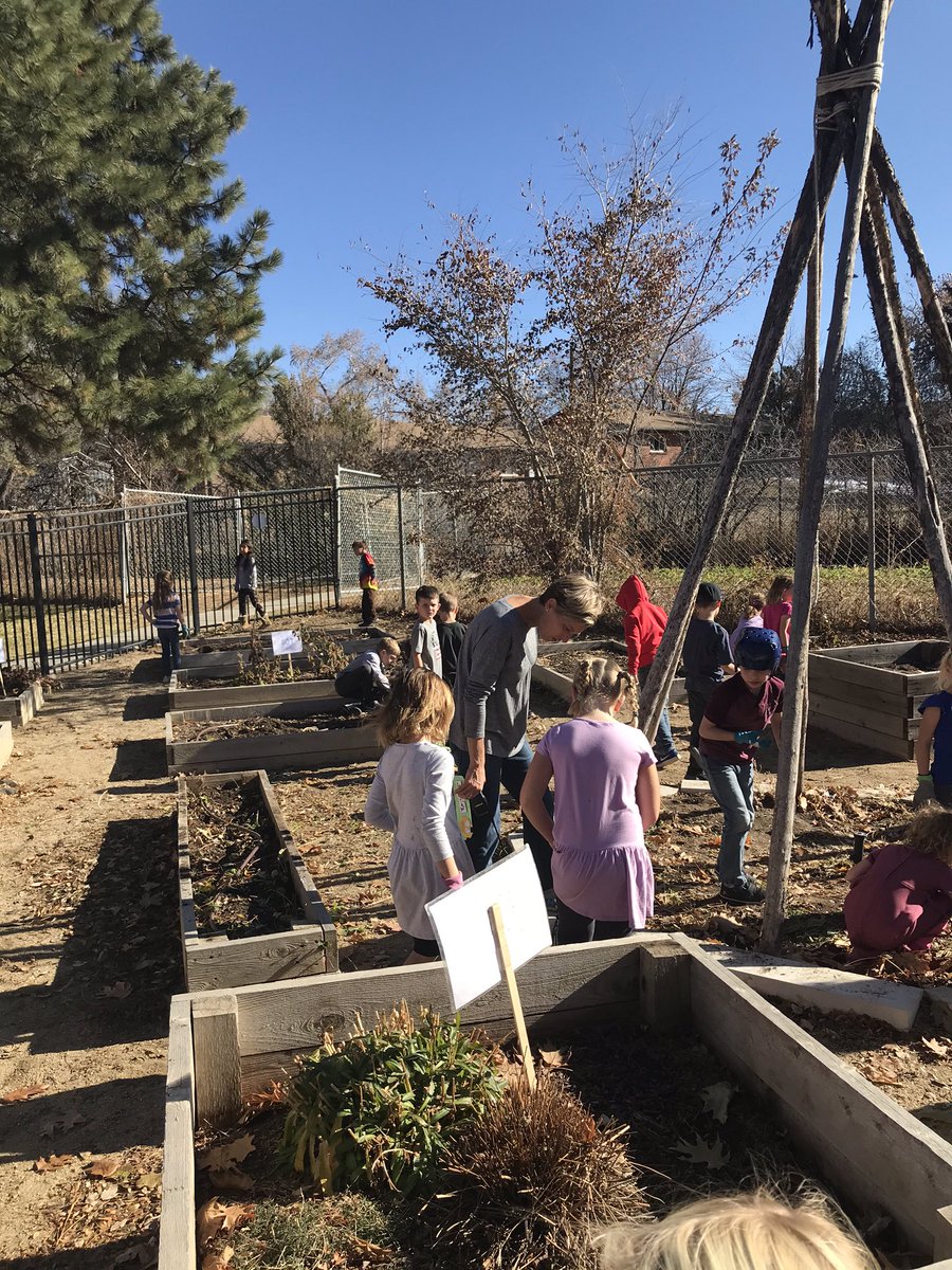 1st graders prepare the garden for Winter! #JeffcoDLM