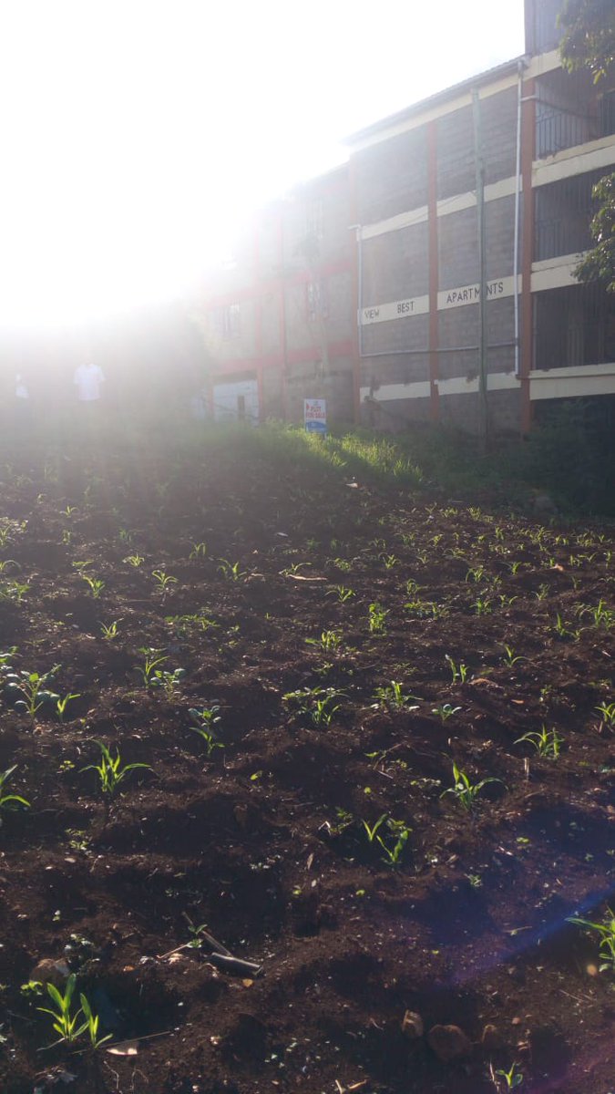 Fortcomholdings's tweet photo. This is a 50 by 100 plotin Kiambu town. It's surround by developed land,kiambu shopping centre and it's off the proposed by pass.The land is fertile for farming or building projects.
Bank financing ✔️
Flexible payment plans ✔️
Title deed ✔️
free site visits✔️ https://t.co/rPPQZAIYxO