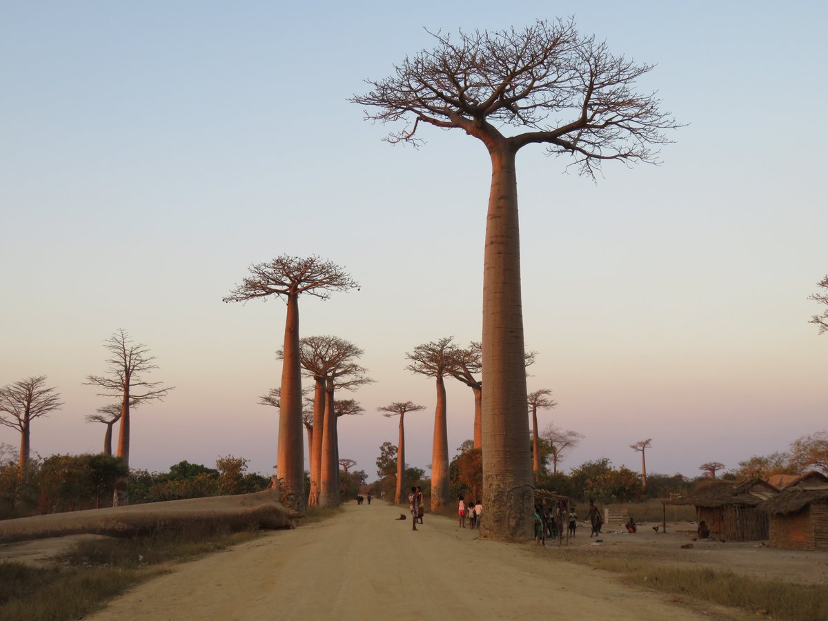 FLYTravelRadio's tweet photo. Catch Sunday's FLY interview with fellow @CIUT895FM presenter, Nadine McNulty of Karibuni. Nadine discusses her passion for #African #music, #culture and #travel. https://t.co/YEBgJGO9p8 #ciutfm #travel #adventure #storytelling #travelradio #travelAfrica #adventuretravel https://t.co/qgInuJ25E0
