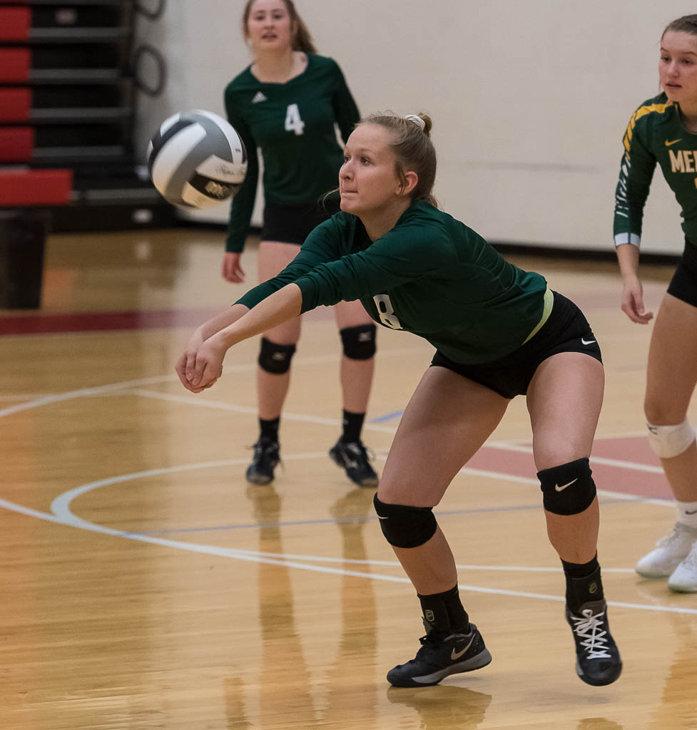 russellgifford's tweet photo. Cloverleaf's @kcourtock gets the dig at Wadsworth tonight. @CloverleafVB https://t.co/QvGfWIL2e5