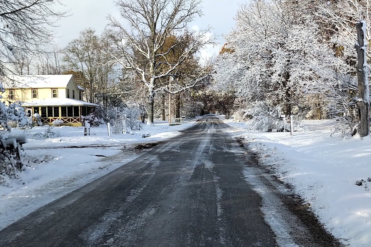the_wando's tweet image. Winter came early. Fred is not impressed.

#summerdog #peleeisland