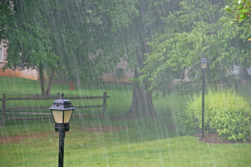DesignWater1's tweet photo. Has the recent rain been good for your garden, but bad for your roof? 011 794 7395 / 082 905 0346 / info@designwaterproofing.co.za https://t.co/2tHsm6pxVM