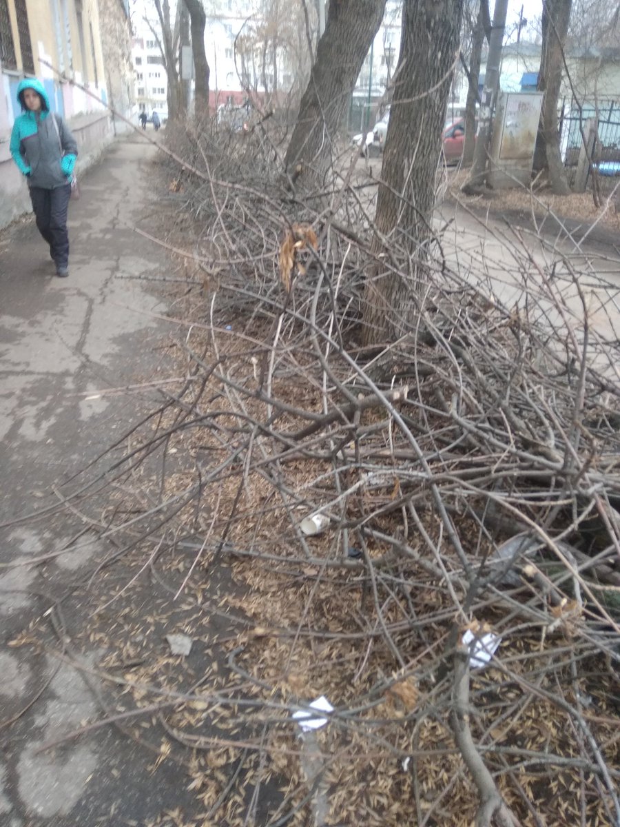 VvvikaB's tweet photo. @MP_Blago63 @AdmSov @SamMobilePriem Вчера было 13.11.19, сегодня 14.11.2019 ветки как валялись на тротуарах, так и валяются. Когда в итоге уберут?! https://t.co/hgBHjIlVeY