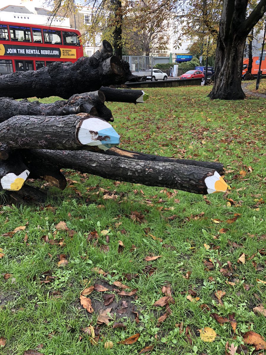 saullockwood's tweet image. Not sure who thought that sharpening up the branches was a good idea in a children park??!! 🤔 #potentialDEATHtrap 💀 #Brixton #pencilpark #whatplanetareyouon #