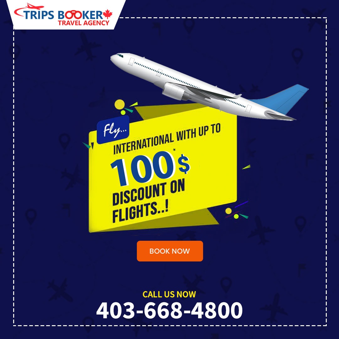 tripsbookerca's tweet photo. 🧐 Big Discount on International Flight: Search flight with Trips Booker Canada and book flight at lowest fare today. Book before the seat sale!
🌎 https://t.co/ho13CKSMBx
☎️ Call Us For Exclusive Fares 1-866-266-6500

#Tripsbooker #Cheapflight #SeatSale #Flightsale https://t.co/ov50beYeIP