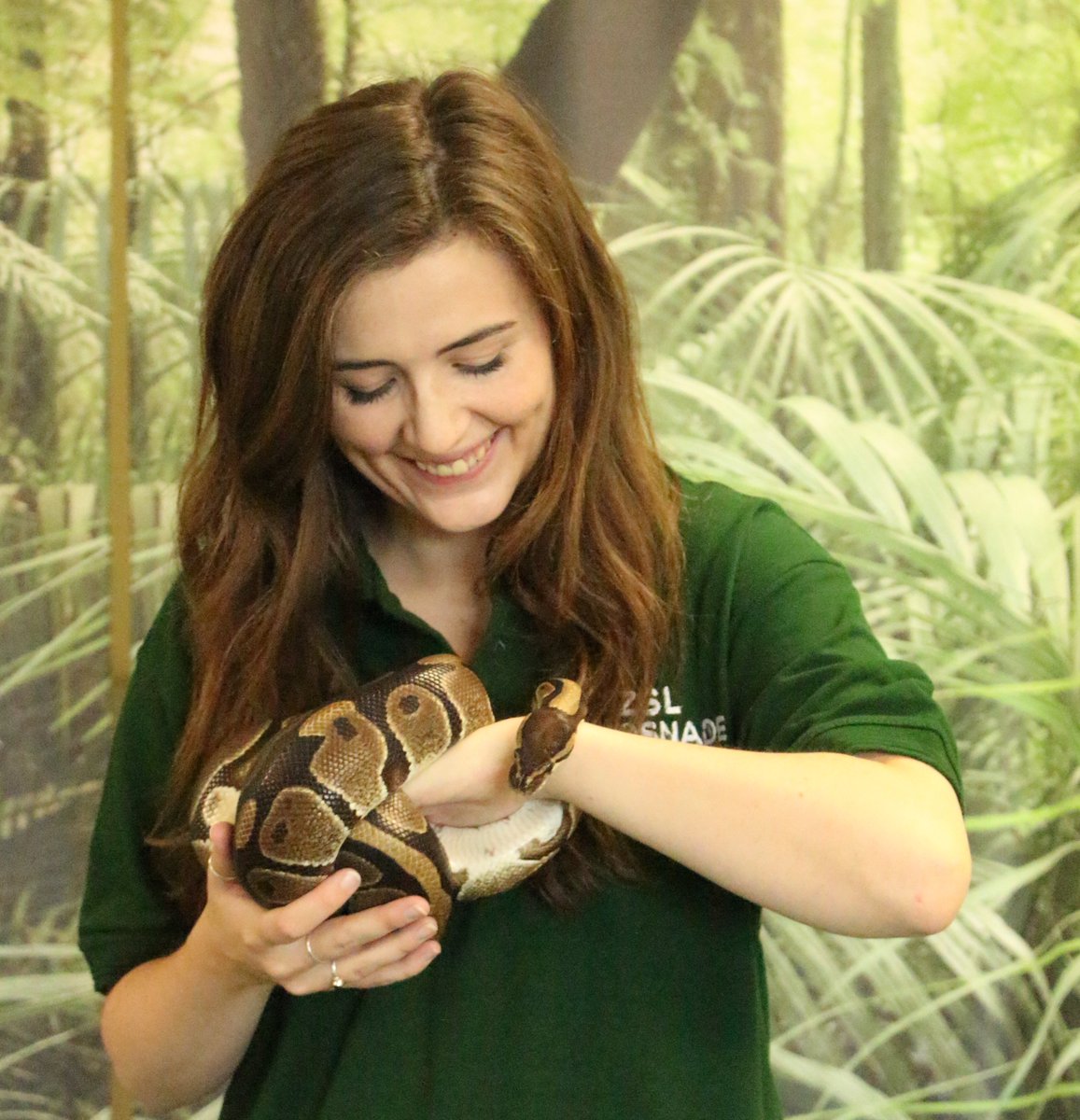 ZSL_Learning's tweet photo. @ZSLWhipsnadeZoo @zsllondonzoo #MeetTheTeam - Holly Bestley started off in ZSL's busy press team four years ago before she swapped journalists for students @zslwhipsnadezoo - and hasn't looked back! She loves running #ALevel sessions, particularly on the topic of classification 🦛 @EducatorsIz #izeday https://t.co/k6lMNVYDIU