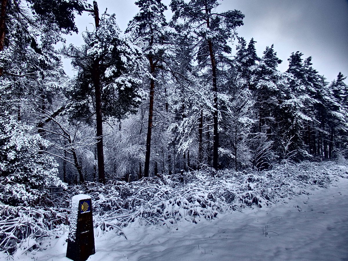 Invierno en el Camino. Entre Cabreira y Fonfría (A Fonsagrada, Galicia) xurdemoran.blogspot.com/2014/08/del-al…