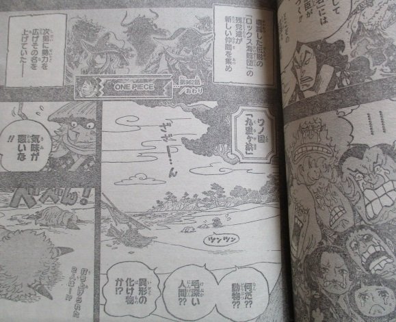Hashtag Onepiece962 Na Twitteri Hashtag Onepiece962 Na Twitteri
