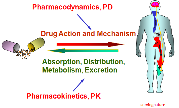 Pharma Conferences| Pharmaceutical Conferences| Pharma Congress| Events| Prague| Europe
#Pharmaceutical #Pharmaceuticalconferences2020 #Pharmacongress2020 #medicalconferences #internationalconference #Travelpharma #drugdelivery  #healthcare #pharmaceuticalcompany #pharmacist