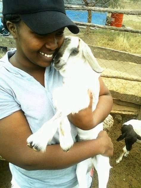 MayianFM's tweet photo. Oramatie tbt tiatua Mayian fm iboitare enkashe sopia mpotu ong'uan matanga'r shaii e saa ong'uan...
#Kaidimataa
#Nyuaatenkalaoni
#Enkashesopia
#Oramatietbt
@Emugie https://t.co/16iIxuuElE