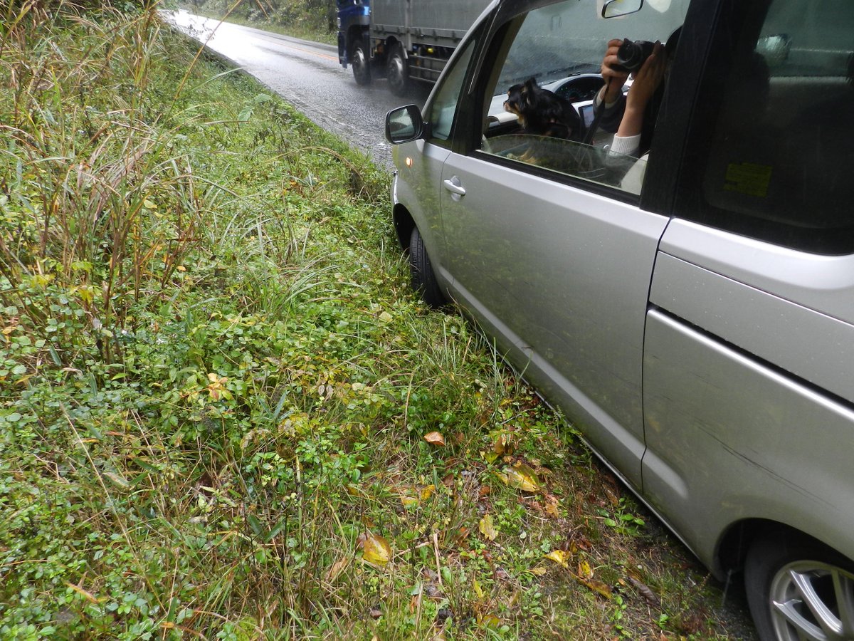 伊達英二📷🐕 tweet media