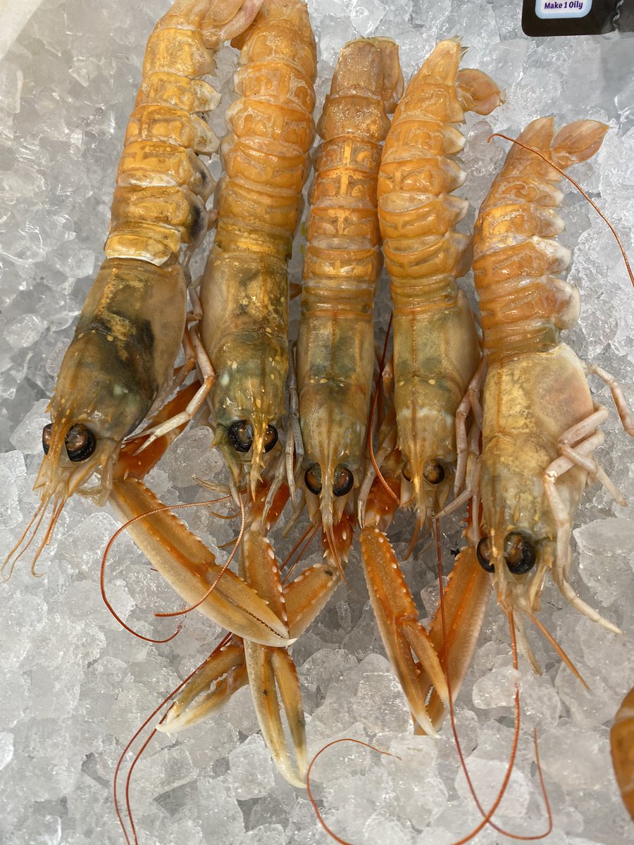 A Passion for Seafood tweet media