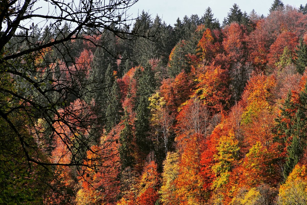 Herbststimmung