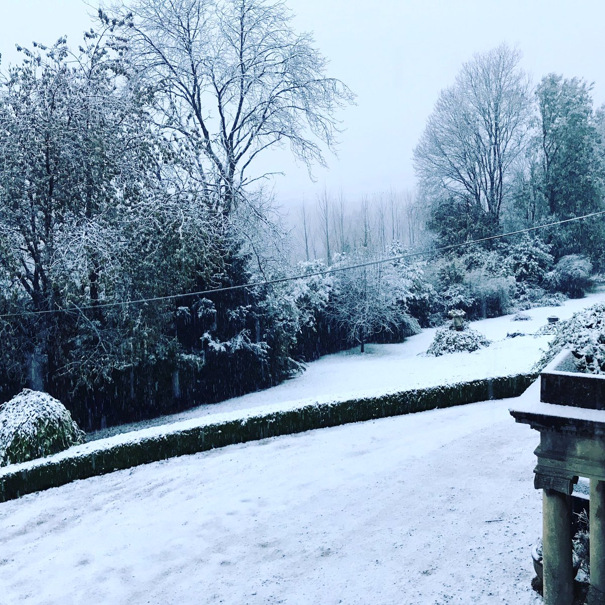 ☃️🌧☃️ Let it snow... 🌨☃️🌨