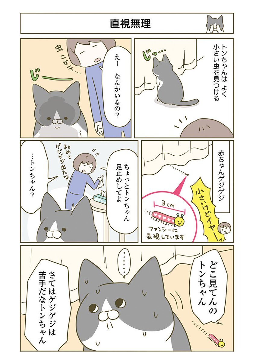 うち の 猫 が また 変 な こと し てる