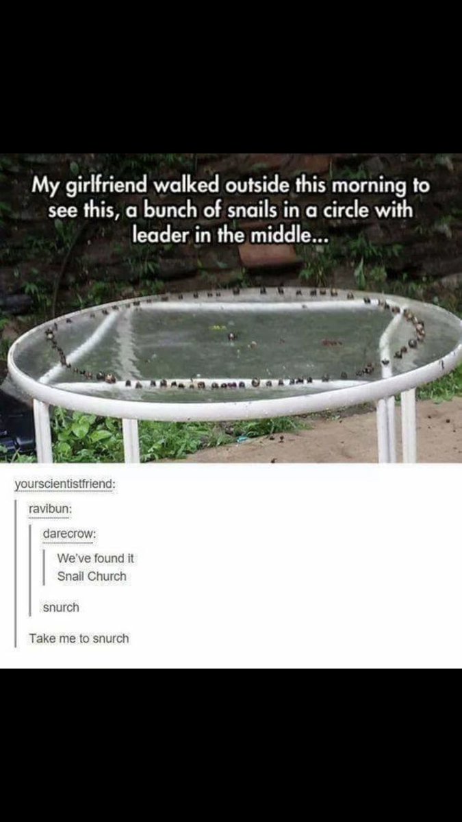 Jaddiktofficial's tweet image. @snailmusic @TeamSnails  HAVE YALL SEEN THIS 👀👀👀👀