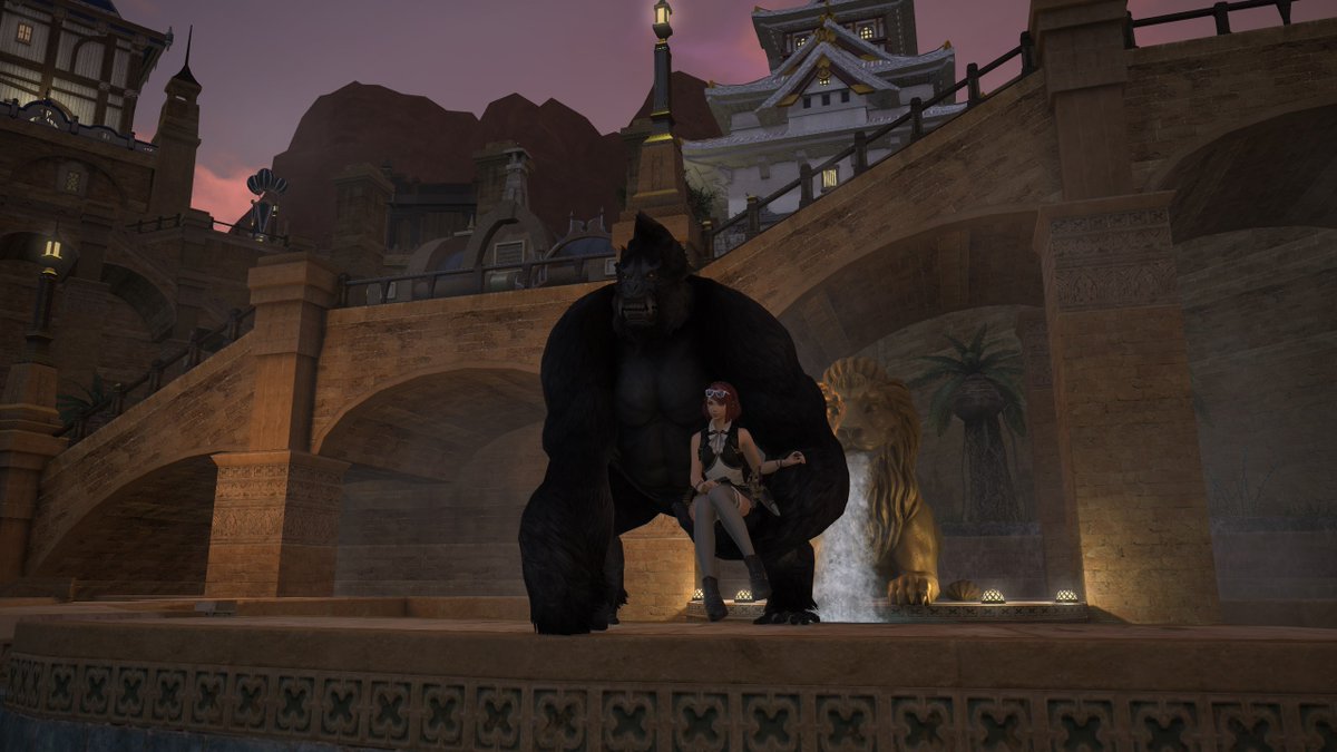 juleskickflip's tweet photo. monkey man acquired https://t.co/tISPypN8EI
