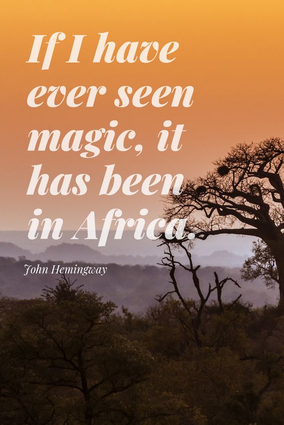 #Africa you are #Magic✨ #NewBlogPost #HaveAread 

➡ insidewomen.co.za/my-african-tru… 

#JohnHemingway #Quote by AfricaFreak.com