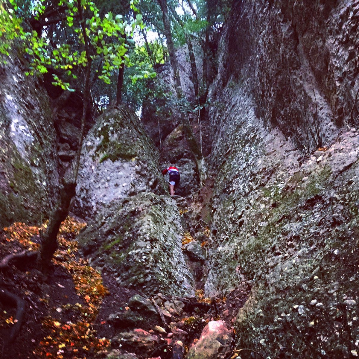 Sempre amunt 🆙
#BonDia #Canals #Montserrat #correr #trail #AlpineRun #happy #motivation #outdoors #workout  #mountains #nature #pic #foto #moments #instagood