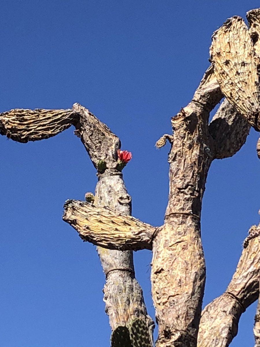 Mary O'Brien tweet media