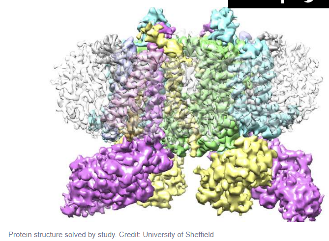 Experts unlock key to photosynthesis, a find that could help us meet food security demands

ofi.direct/1.19110669
<a href="/sheffielduni/">The University of Sheffield</a> <a href="/physorg_com/">Phys.org</a>