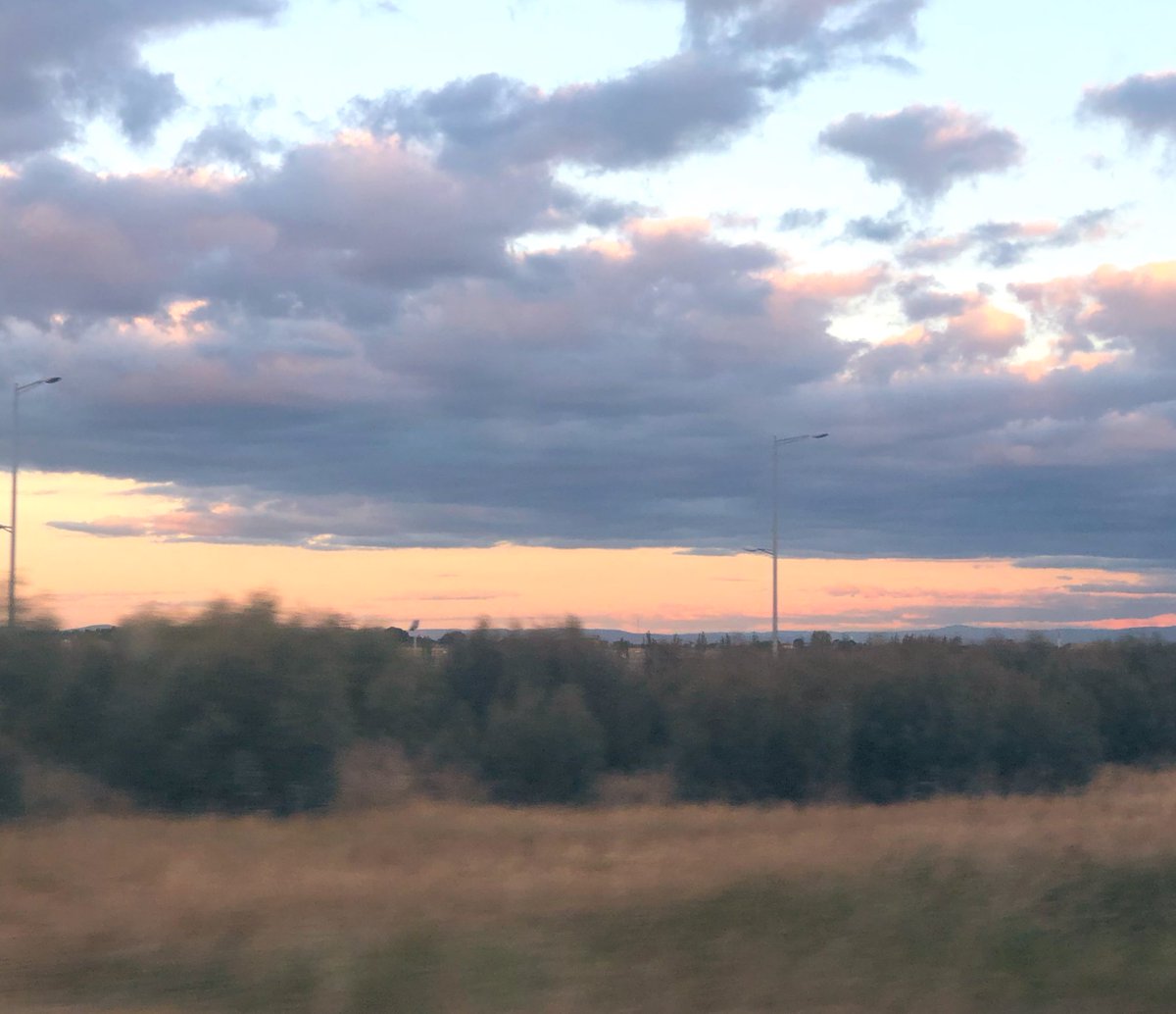 And that’s a wrap #COSA19 - great program, had fun presenting (yep, finally reached the point where I enjoy it), got great feedback about #emPoWeRUnit research (&amp; so did <a href="/ZobaidaEdib/">Dr Zobaida Edib</a>), caught up with some amazing people, made new friends, won a best of the best, &amp; came home to: