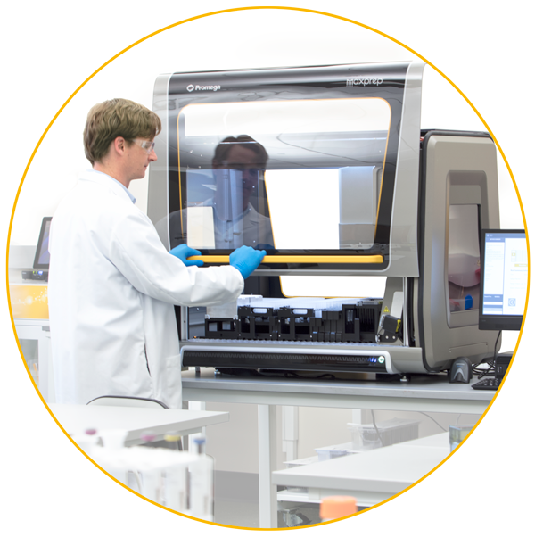 promegauk's tweet photo. Do you need high-throughput fully automated #plasmid purification? Promega has protocols for HT plasmid purification on various liquid handling platforms and a dedicated team of experts to support with implementation.
More at: https://t.co/z1U7x29rrz
#LabChat #LabWares #DNA https://t.co/kbFnRxxG0f