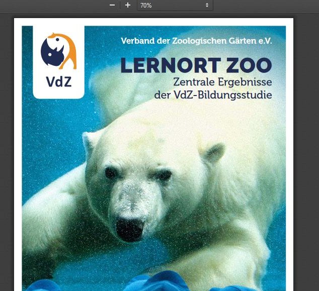VdZ_Zoos's tweet photo. @thezooscientist @EducatorsIz We recently published a report on the fantastic work of zoo educators using #VdZ_Zoos as examples. Sorry, only in German but maybe an inspiration for other #zoo associations, educators or @EducatorsIz? #IZEDay2019
https://t.co/QGv8axgGNx https://t.co/v0j6zXcrYo