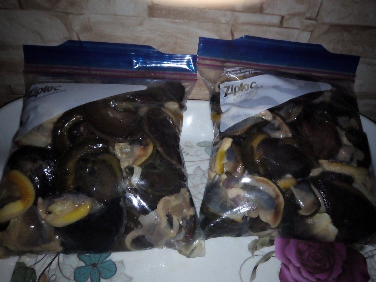StilAgroHub's tweet photo. @MaziIbe_ Talk of hustle..
We are into snail farming and we have got 3 snail process line of products.
i. Live snails
ii. Frozen snails
iii. Peppered snails
Do support us with a RT on ur TL as we look forward to your patronage for our organic snail breed and fruit juice.
#ThursdayThoughts https://t.co/J6loWkkErA