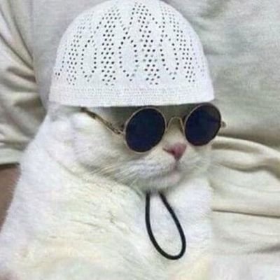 Mussprince_seal's tweet image. The way I dress to school when I know that I will sleep or probably skip all classes 😂😂 #NormalMisbehaviour