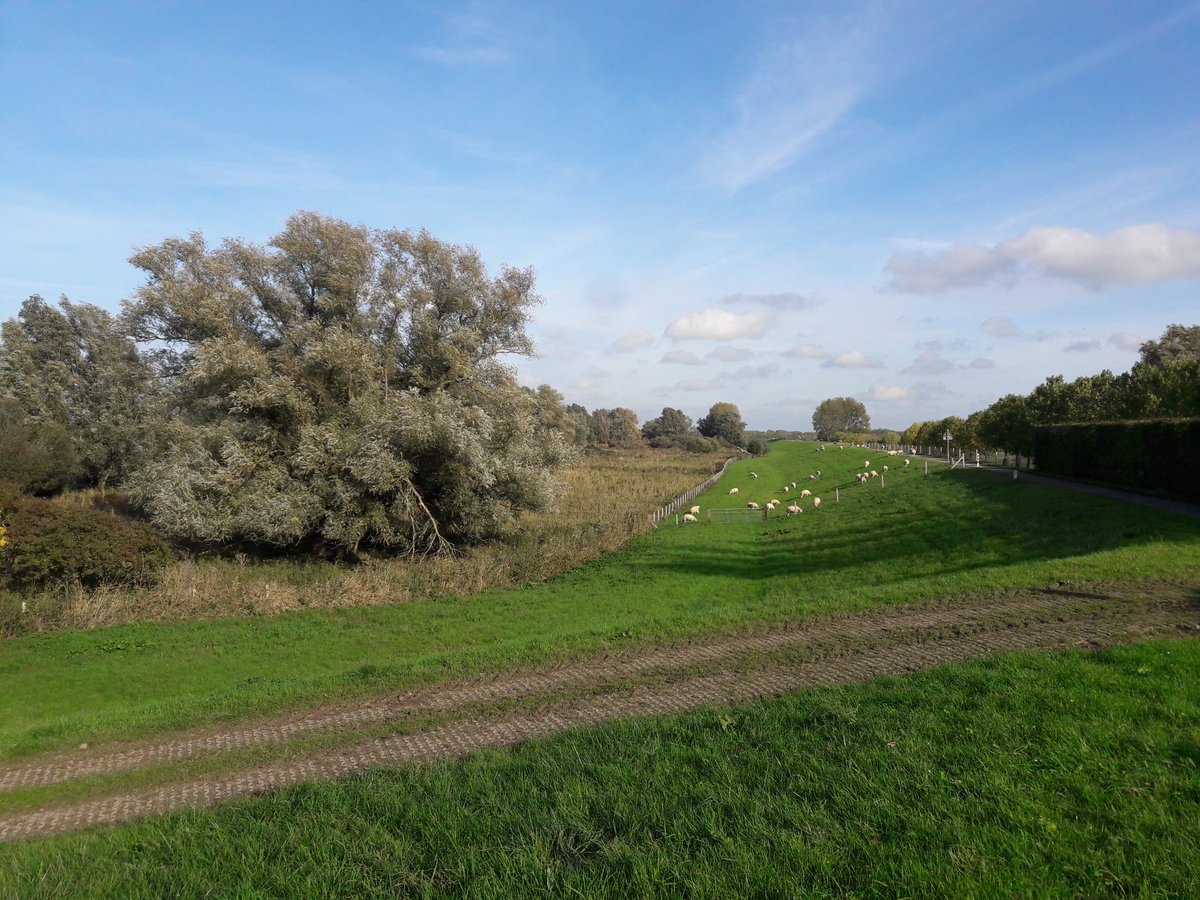 Ontzettend blij met een gisteravond unaniem gesteunde motie van <a href="/CDAGelderland/">CDA Gelderland</a> in Provinciale Staten van <a href="/provgelderland/">Provincie Gelderland</a> om de Gelderse #klompenpaden de komende 4 jaren financieel te steunen! Klompenpaden vormen een verbindende route door het landschap en de samenleving. Yes!
