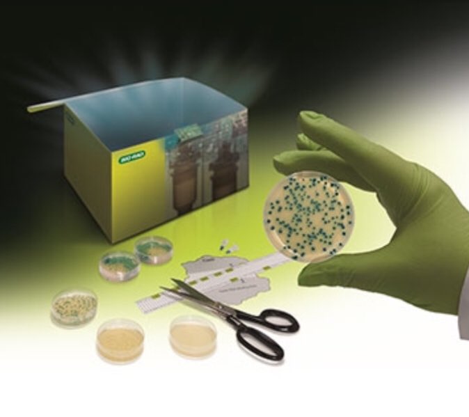 Damon_BioRad's tweet image. Bio-Rad’s educational kit for CRISPR is finally here! bio-rad.com/en-us/product/…  #CRISPR #CRISPReducation #CRISPRkit #biotech #biotecheducation