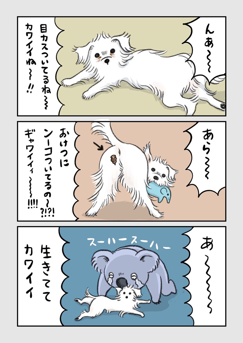 11月14日の本日の1枚。
(私にとって)かわいいものを描きました。

#コルクラボマンガ専科
#弓木らん毎日1Pマンガ
#マルーキー #morkie
#犬好きな人と繋がりたい 