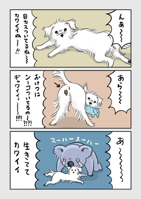 11月14日の本日の1枚。(私にとって)かわいいものを描きました。#コルクラボマンガ専科#弓木らん毎日1Pマンガ#マルーキー #morkie#犬好きな人と繋がりたい 