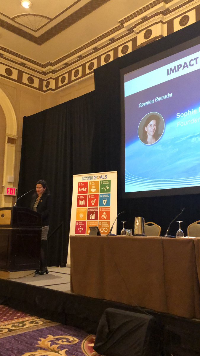 Off to a great start with Sophie Robé <a href="/s_g_robe/">sophie robe</a>, Founder and Co-CEO of <a href="/phenix_capital/">Phenix Capital Group</a> delivering the opening remark for today’s vibrant sessions #ImpactSummitAmerica #ImpInv