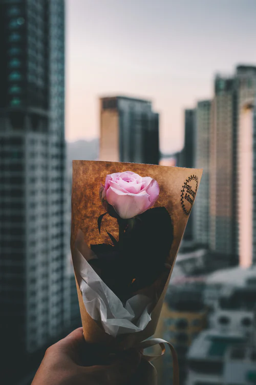 HightowerHT's tweet photo. We make a living by what we earn, We make a life by what we give! Winston Churchill
#davidback #WinstonChurchill #realchange #hightowerht #myjourney #Mindset #successforall https://t.co/KNljJCAbRx