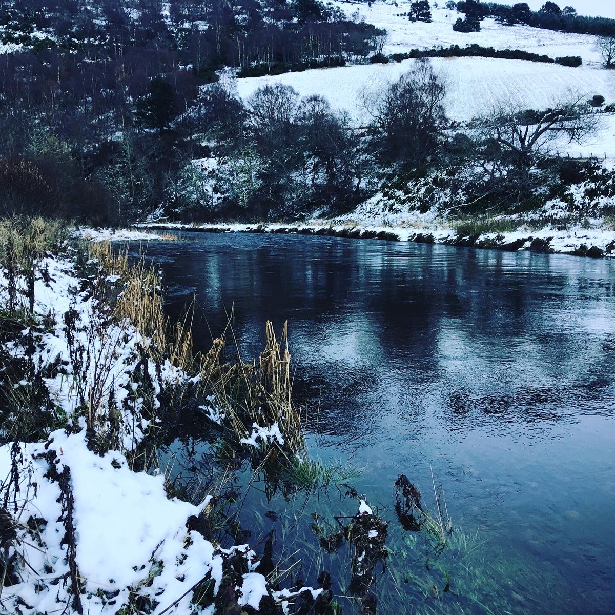 The River Don tweet media