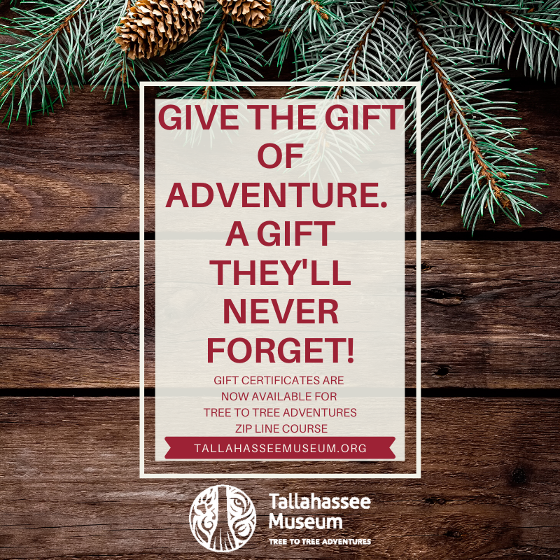 Give the gift of adventure. 
A gift they'll never forget!
🎁🎄🎁🎄🎁

Tree to Tree Gift Certificates now available for purchase at admissions or Museum Store!