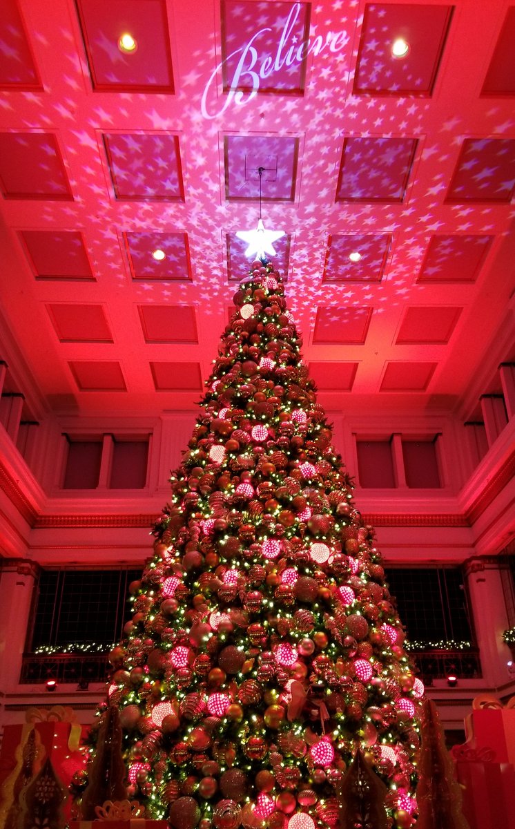 seaninwindycity's tweet image. The #GreatTree tradition continues @Macys #StateStreet #Chicago #WalnutRoom #Believe #TheHolidaysAreHere @MacysTourism