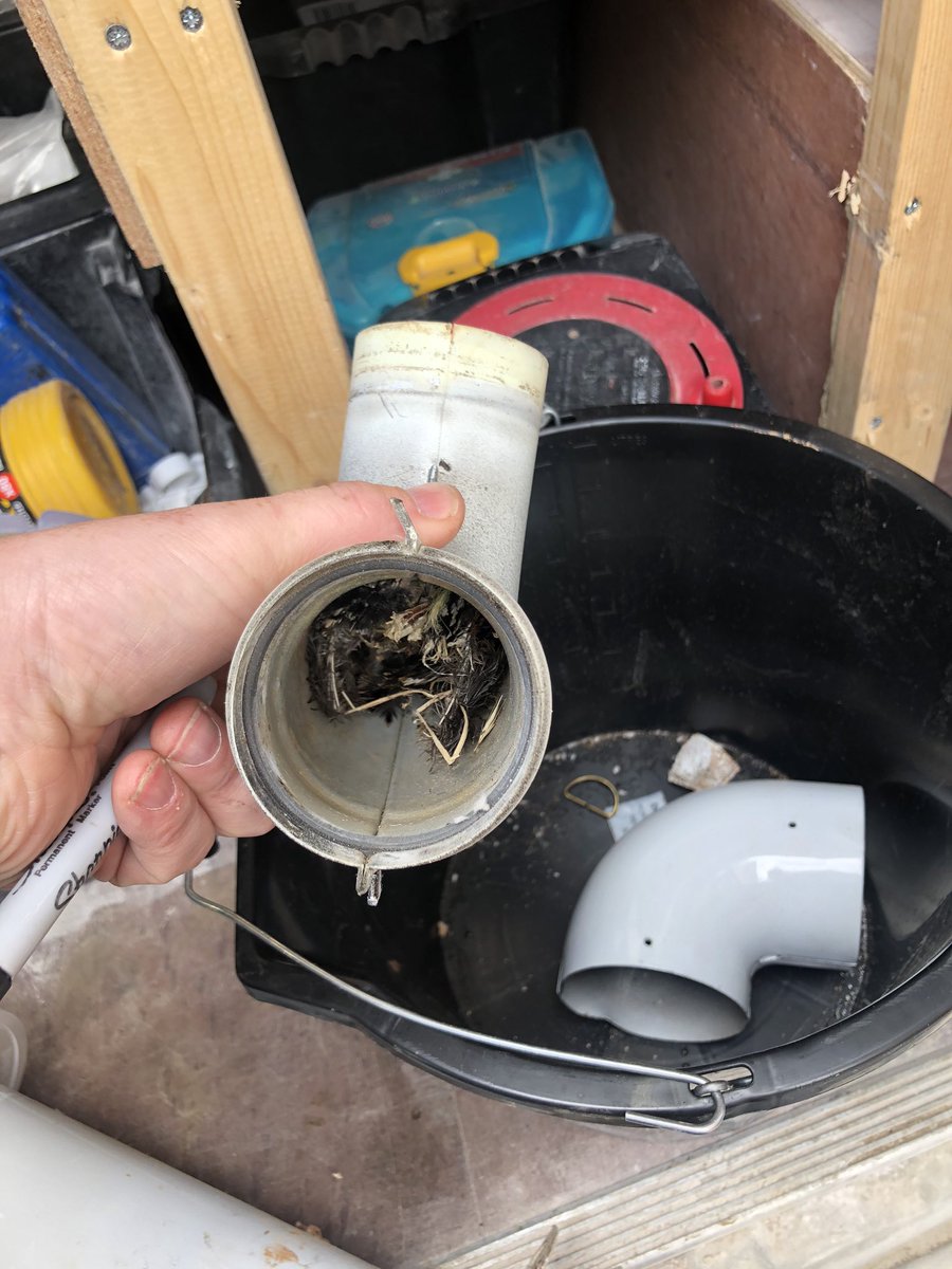 info_eph's tweet image. Boiler breakdown found to be a dead bird inside the flue! New flue was ordered and installed 👍