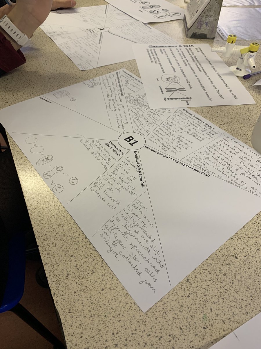 MissPooleRBHS's tweet photo. 10R/Bi2 have completed some fantastic revision resources in preparation for their upcoming mock exams. Keep up the amazing work 🌟 #RiviScience #MockRevision https://t.co/kh5DooJy9A