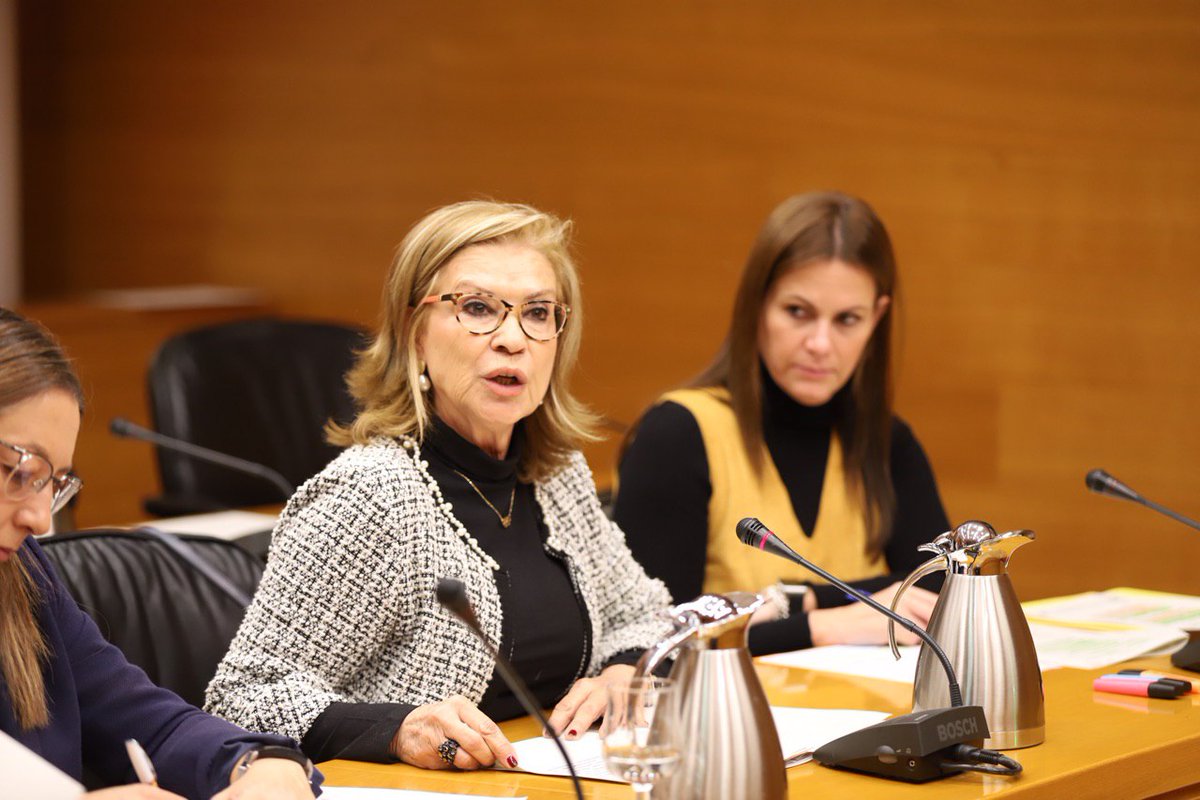 CsCValenciana's tweet photo. 🏛️ Nuestras diputadas en @cortsval, @RosaMenor2 y @mventuracs, acuden a la Comisión de Educación y Cultura

👉🏻 "La educación física es una de las asignaturas más relegadas del currículo escolar, los beneficios deberían convertirla en una de las asignaturas troncales" https://t.co/weVfQS8jlB