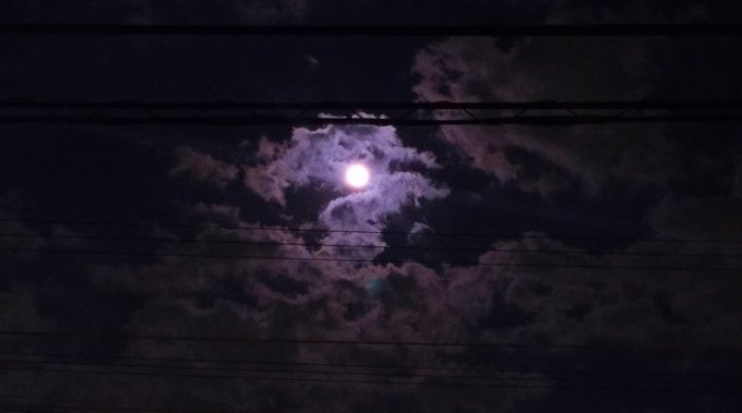 月が綺麗のtwitterイラスト検索結果