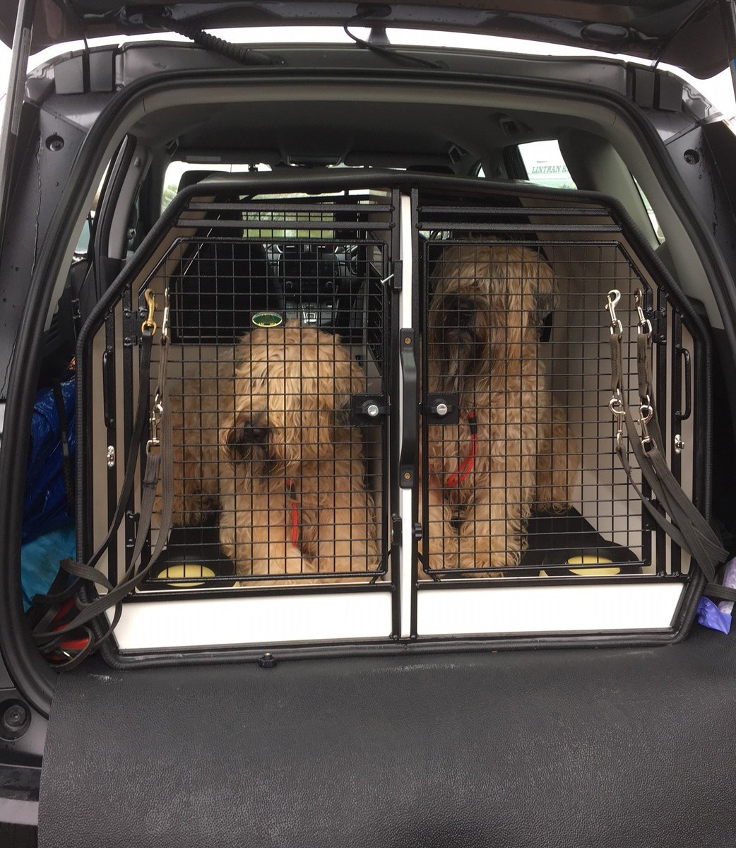 honda crv dog crate