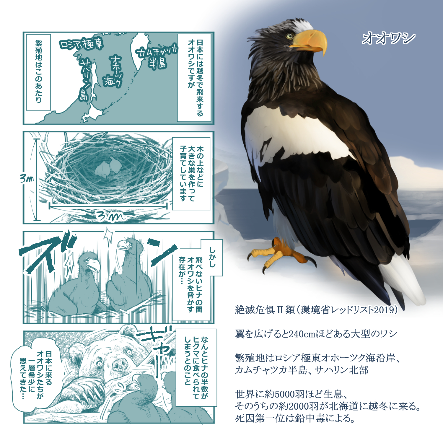 ごまきち いきものフェス Ikimonofes の会場での 猛禽類 医学研究所の齊藤先生 Raptor Biomed の講演の感想を元にしたイラスト 漫画です 鉛中毒に関しては北海道の銃猟者である桔梗屋さん R Kikyoya のご意見を伺い わたし自身狩猟者の一人