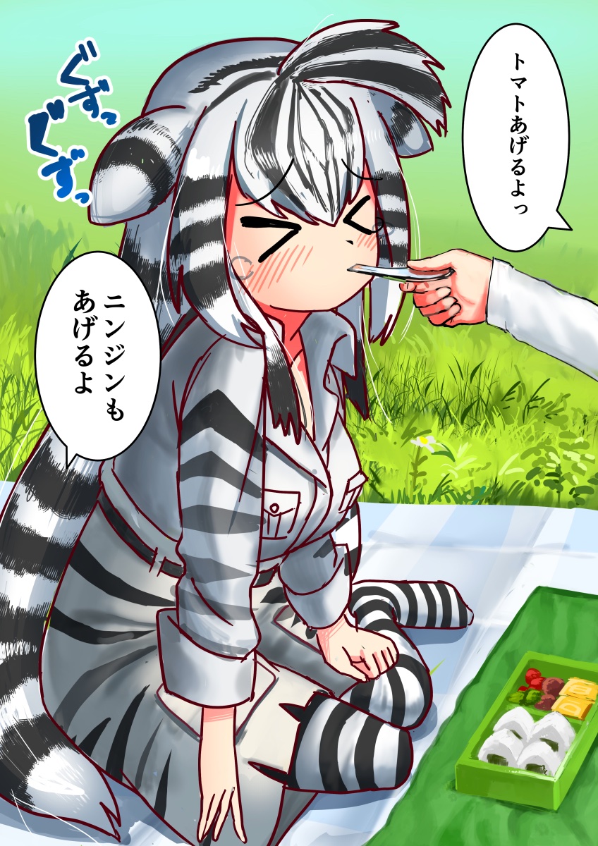 桜葉 海睡 けものフレンズ3のくやおいしいチャップマンシマウマが可愛かった