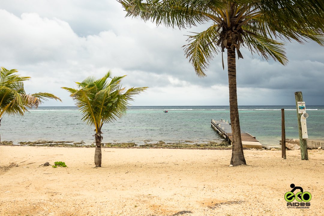 Beautiful overcast days. #ecoridescayman #letsride #grandcayman #caymanislands #biketoursincaymanislands #thingstodoincaymanislands #caymankind #ecotours #bicycletours #cycling #earthpix #instaphoto #travel #explore #nature #caribbean