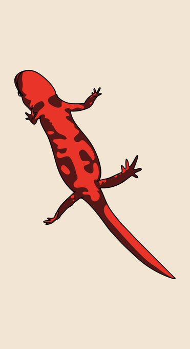アカハライモリのtwitterイラスト検索結果 古い順 アカハライモリのtwitterイラスト検索結果 古い順