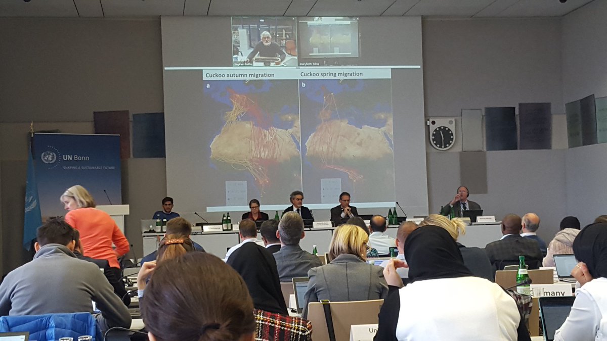 4Apes's tweet image. Exciting presentation @BonnConvention Scientific Council on Eurasian African #BirdMigration Atlas, by @StephenRBaillie - wouldn't it be amazing to follow #flyways using #VR with an app by @vEcotours - see our demo of low #EarthOrbit flight to #Africa in free vEco Labs App now!
