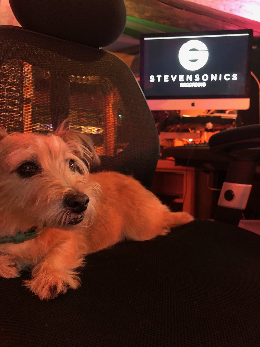 Adam Wakeman (@wakemanofficial) on Twitter photo Mouse the studio dog lending an expert ear to the mixes.
stevensonics.com
<a href="/StevensonicsRec/">Gary Stevenson</a> Mouse the studio dog lending an expert ear to the mixes.
stevensonics.com
<a href="/StevensonicsRec/">Gary Stevenson</a>